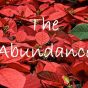 23. BEHOLD: The Abundance
