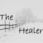 8. BEHOLD: The Healer