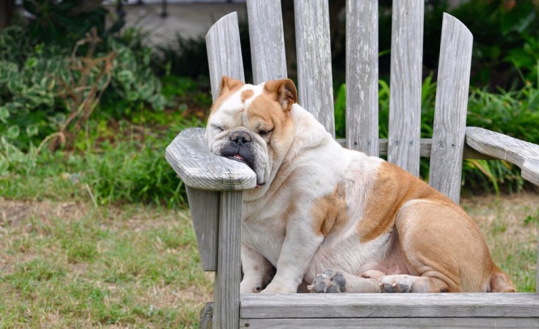 Favorite Friend’s Post of 2015