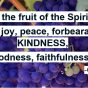 The Kindness Kind of Fruit