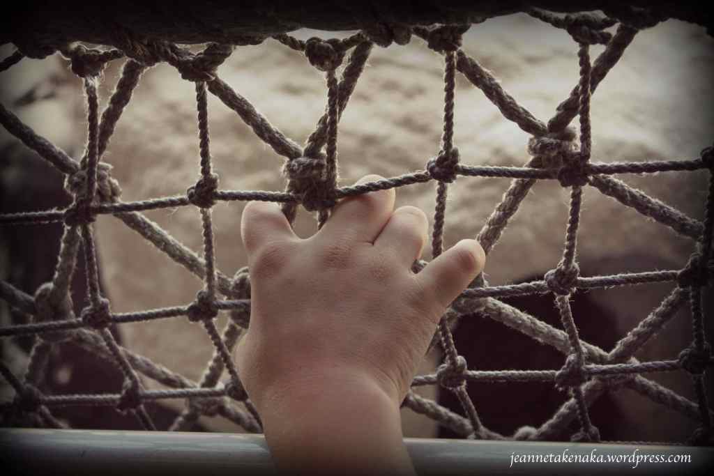 He Loves Me, He Loves Me Not- The Word Works Series!