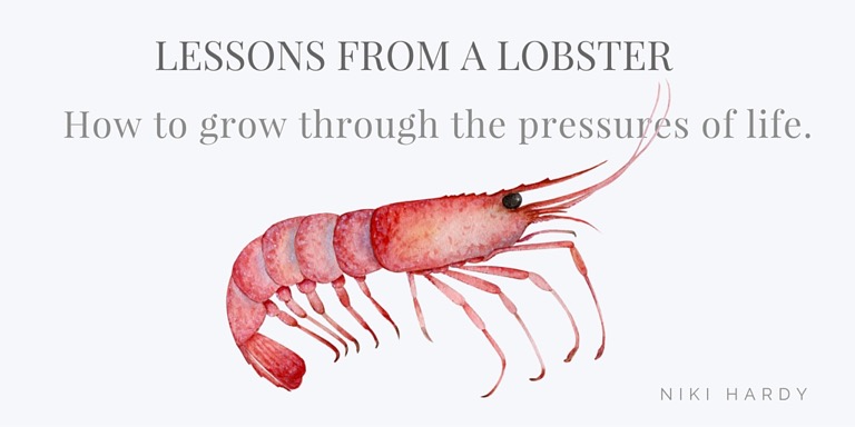Lessons from a Lobster- The Word Works Series!