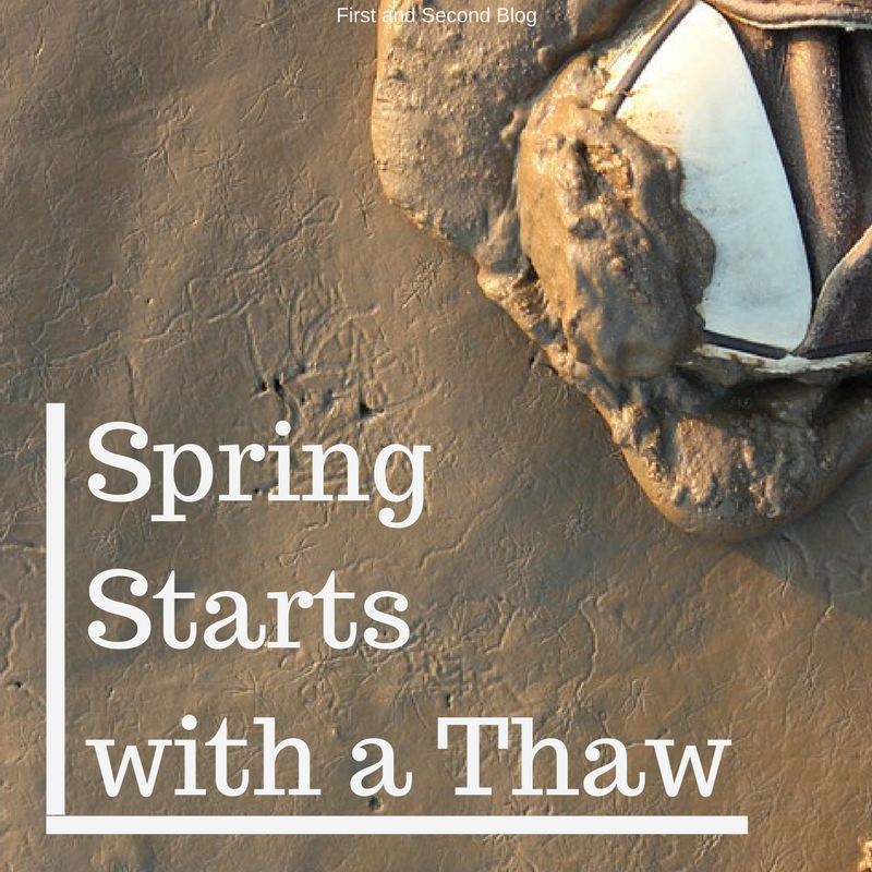 Spring Starts With a Thaw