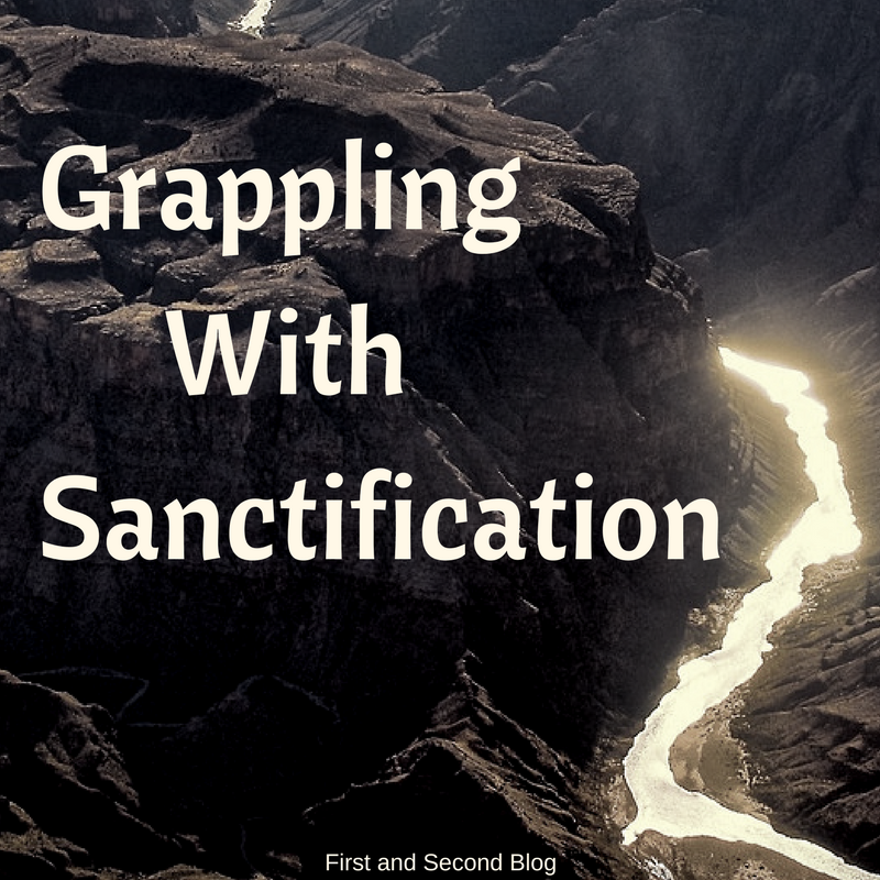 Grappling with Sanctification