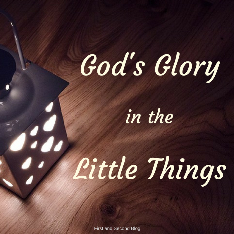 God’s Glory in the Little Things