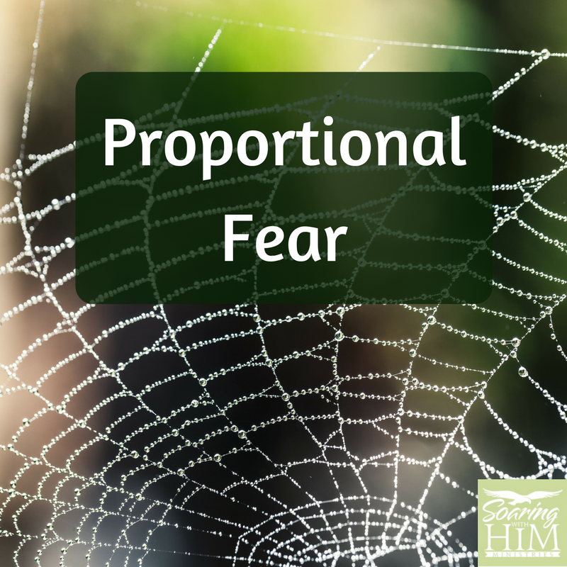 Proportionate Fear