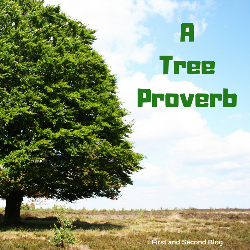 A Tree Proverb