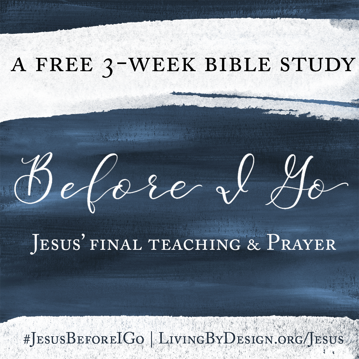 Before I Go Online Bible Study Review