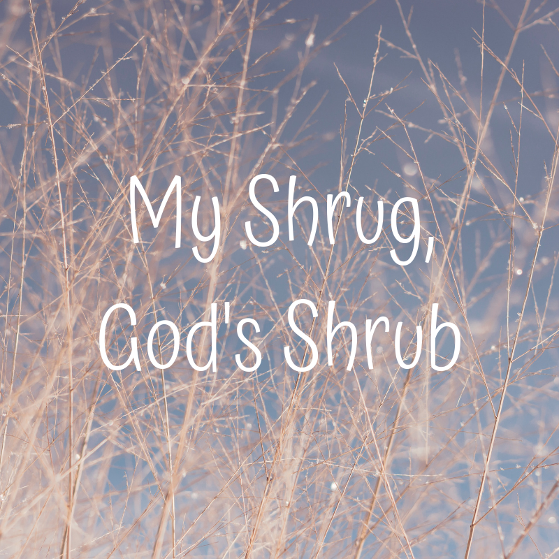 My Shrug, God’s Shrub