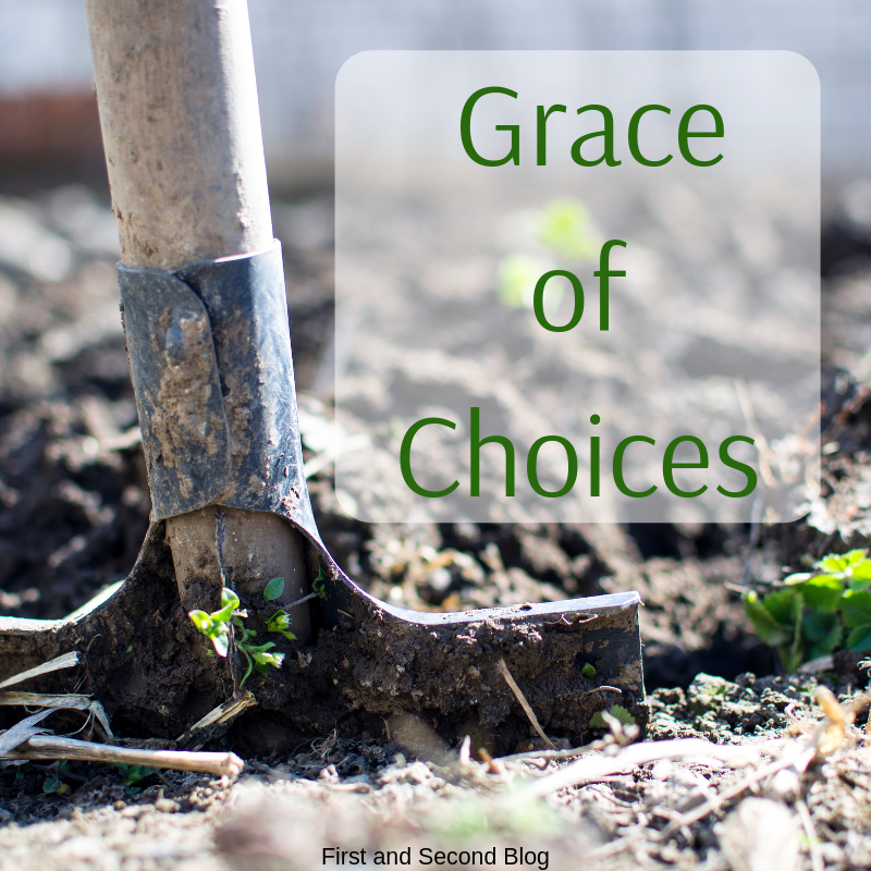 The Grace of Choices
