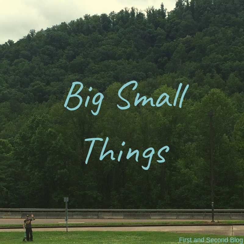 Big Small Things