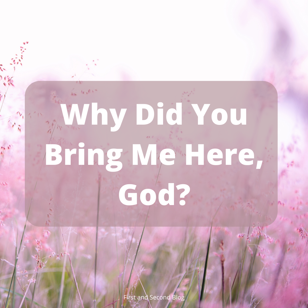 Why Did You Bring Me Here, God?