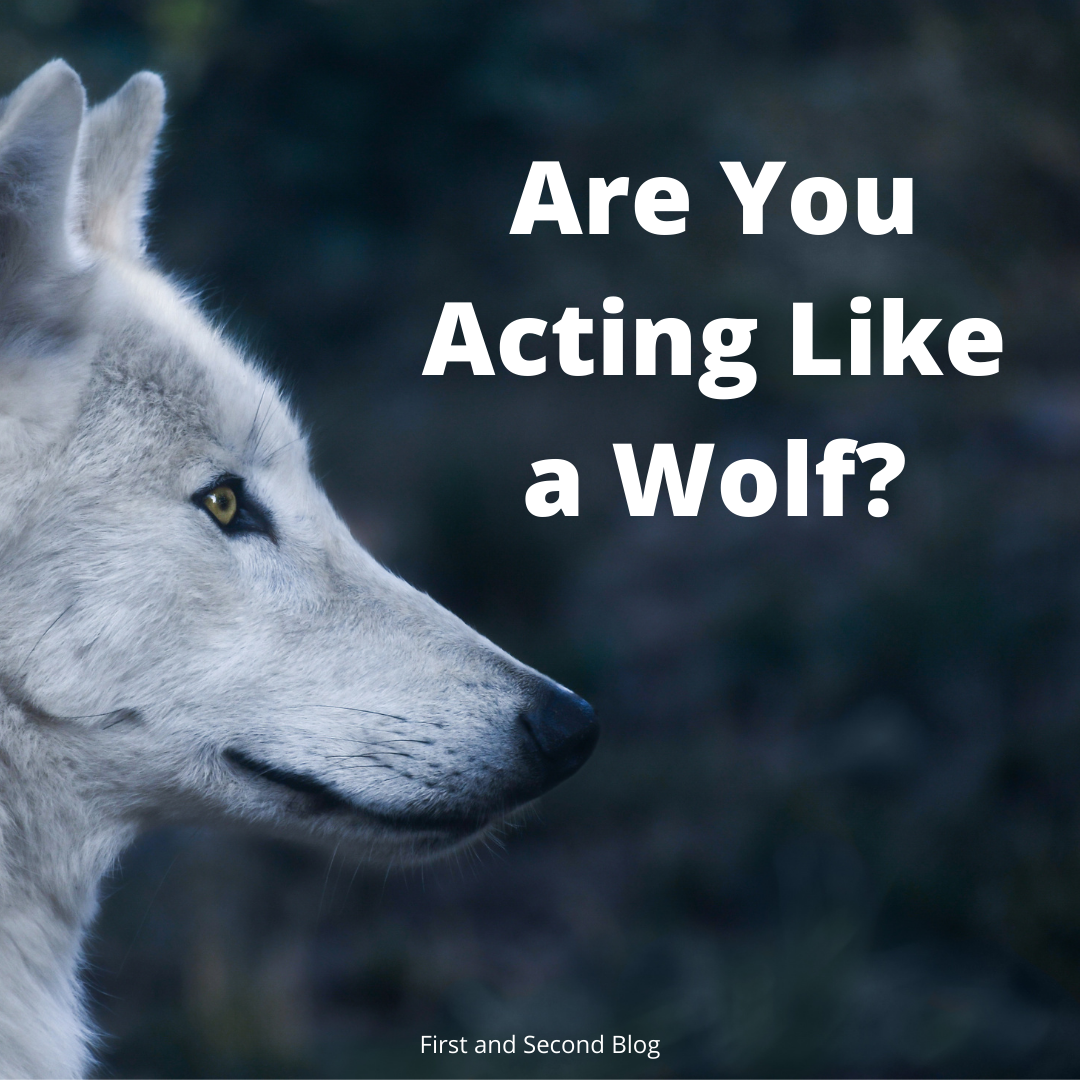Are You Acting Like a Wolf?