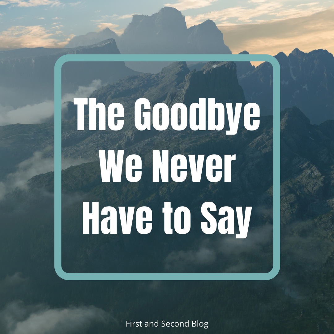 The Goodbye We Never Have To Say