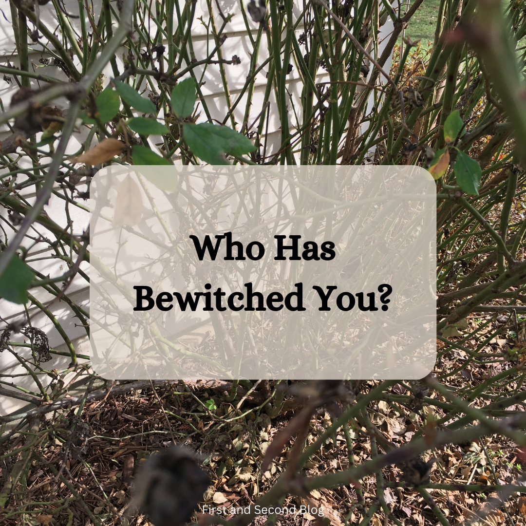 Who Has Bewitched You?
