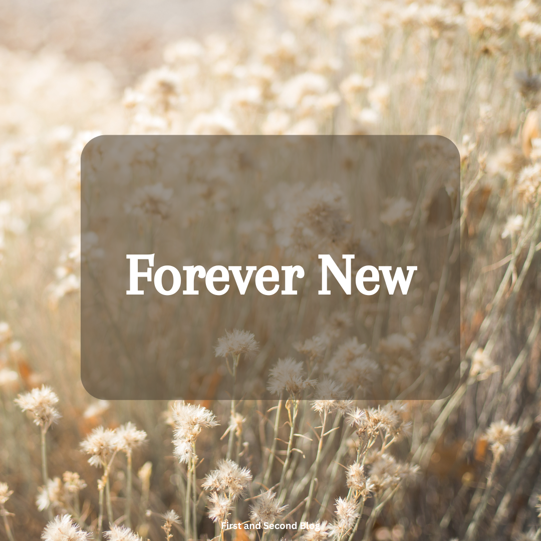 Forever New