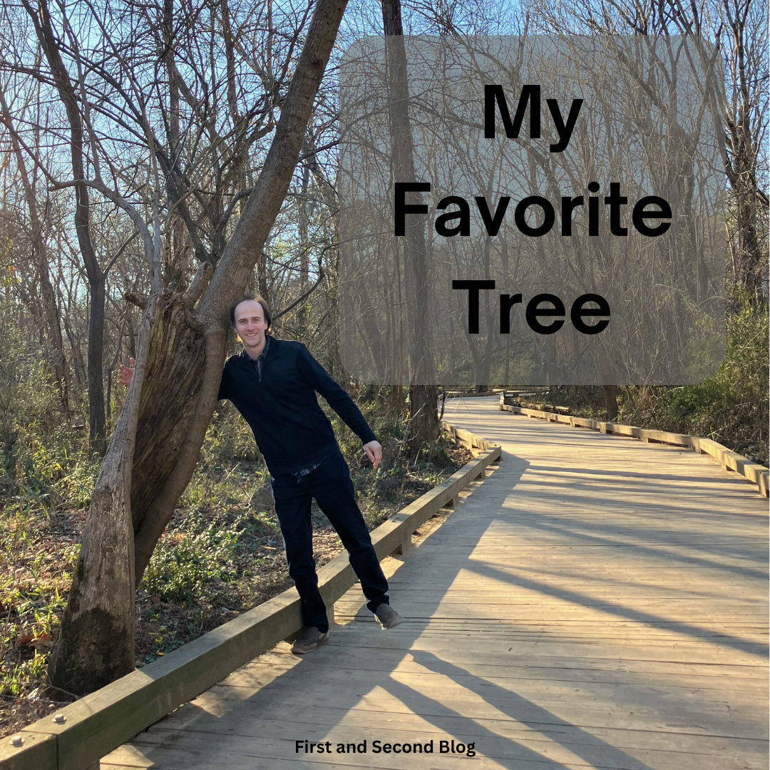 My Favorite Tree